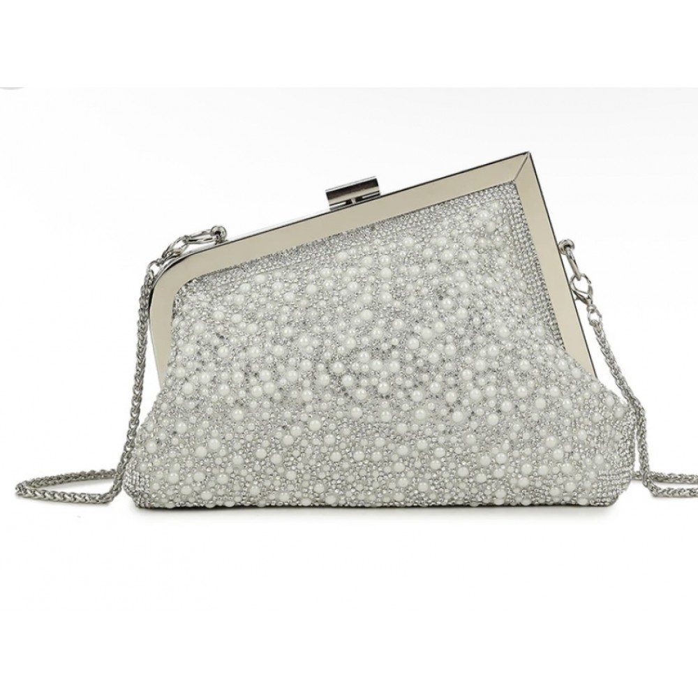 Silver dress bag
