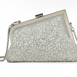 Silver dress bag