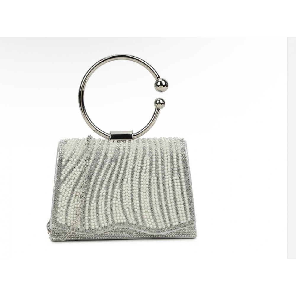 Silver dress bag