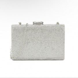 Silver dress bag