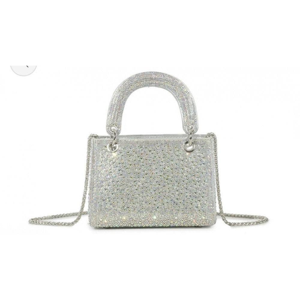 Silver dress bag