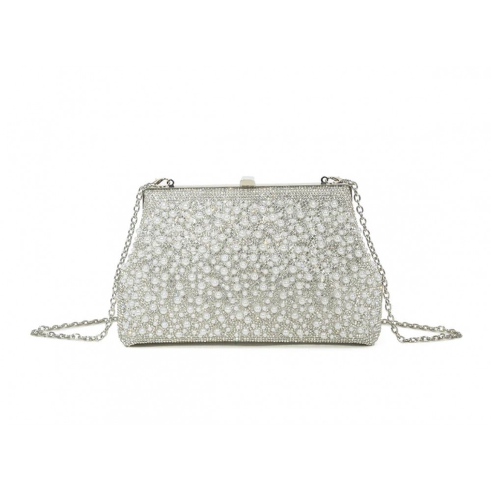 Dress bag in silver